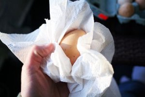 7-paper-toweling-the-eggs